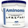 AMINOMIX FORTE BALDE 25 KG